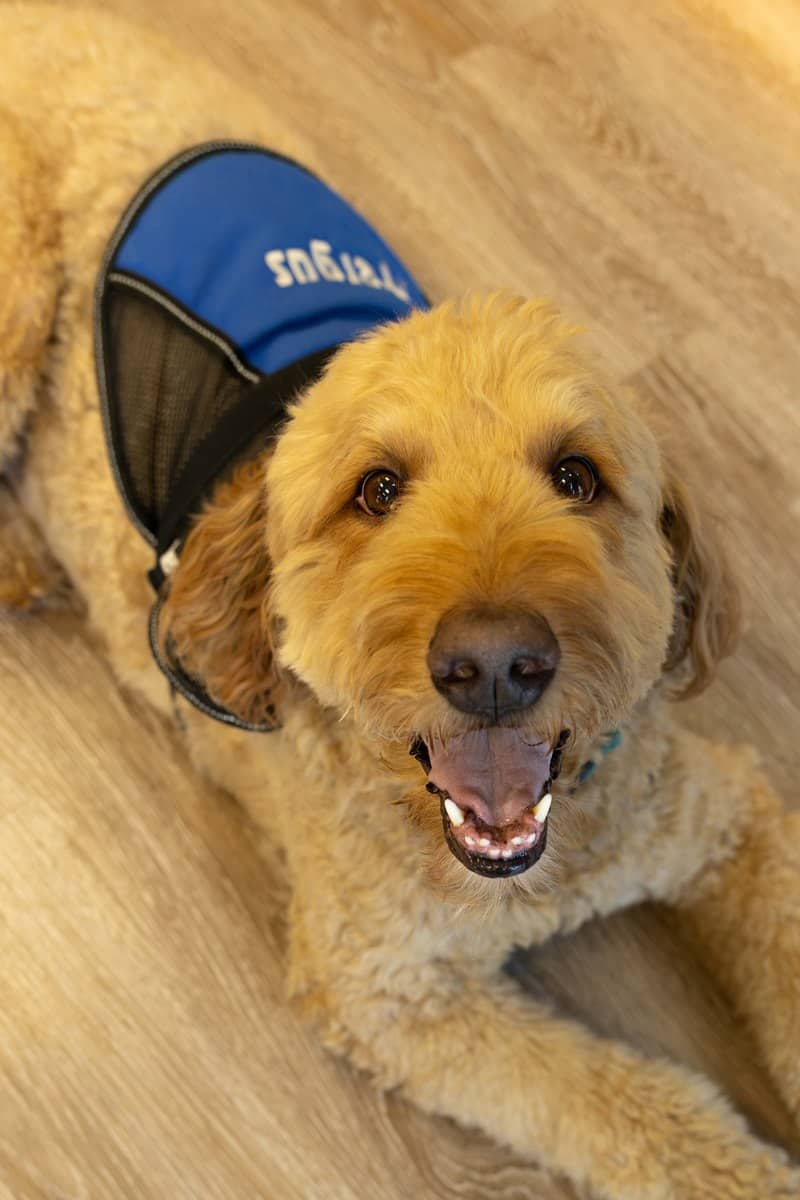 pro-fergus